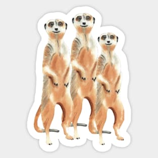 Cute Meerkats on the lookout Sticker